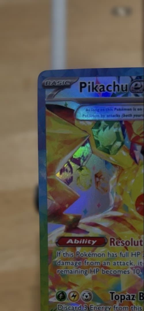 十四代　秘蔵　専用