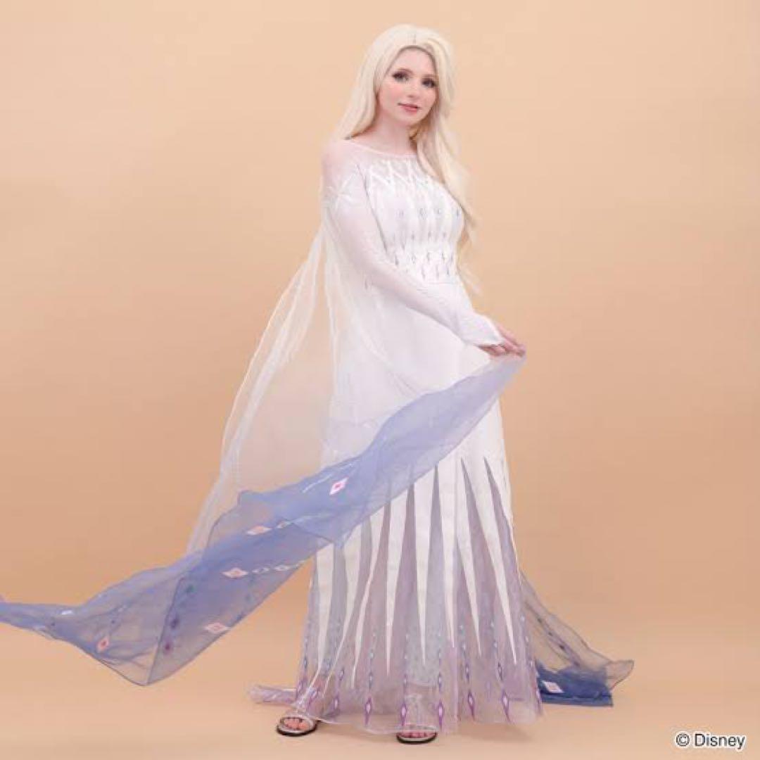 試着のみ　正規品　精霊エルサ シークレットハニー フローズン2 コスプレ衣装