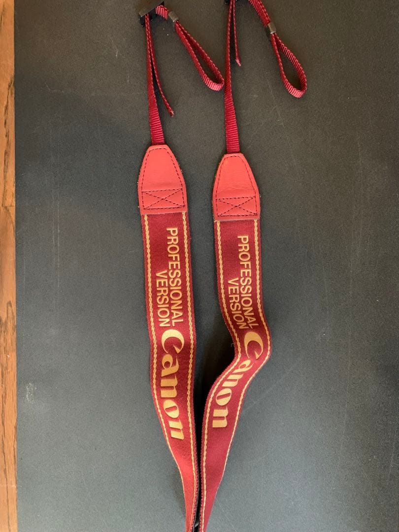 フィルムカメラ EOS-1 V