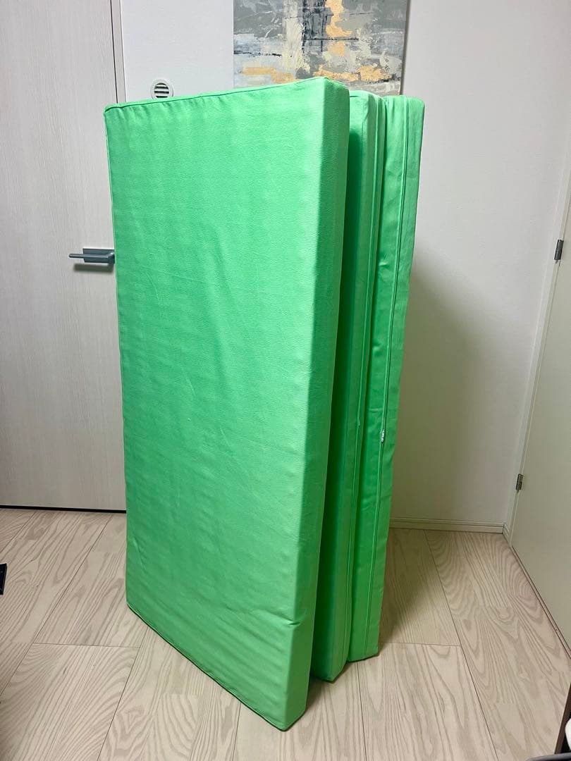 【美品】ヘルスウェーブゴールドDCバージョン ダブル