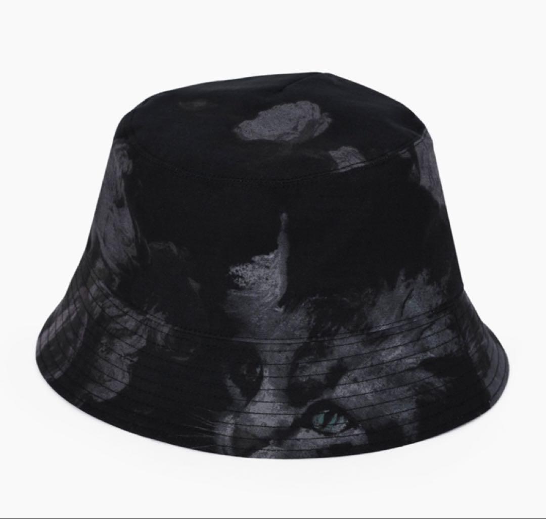 Lad Musician PAINT ROSE + CAT ハット