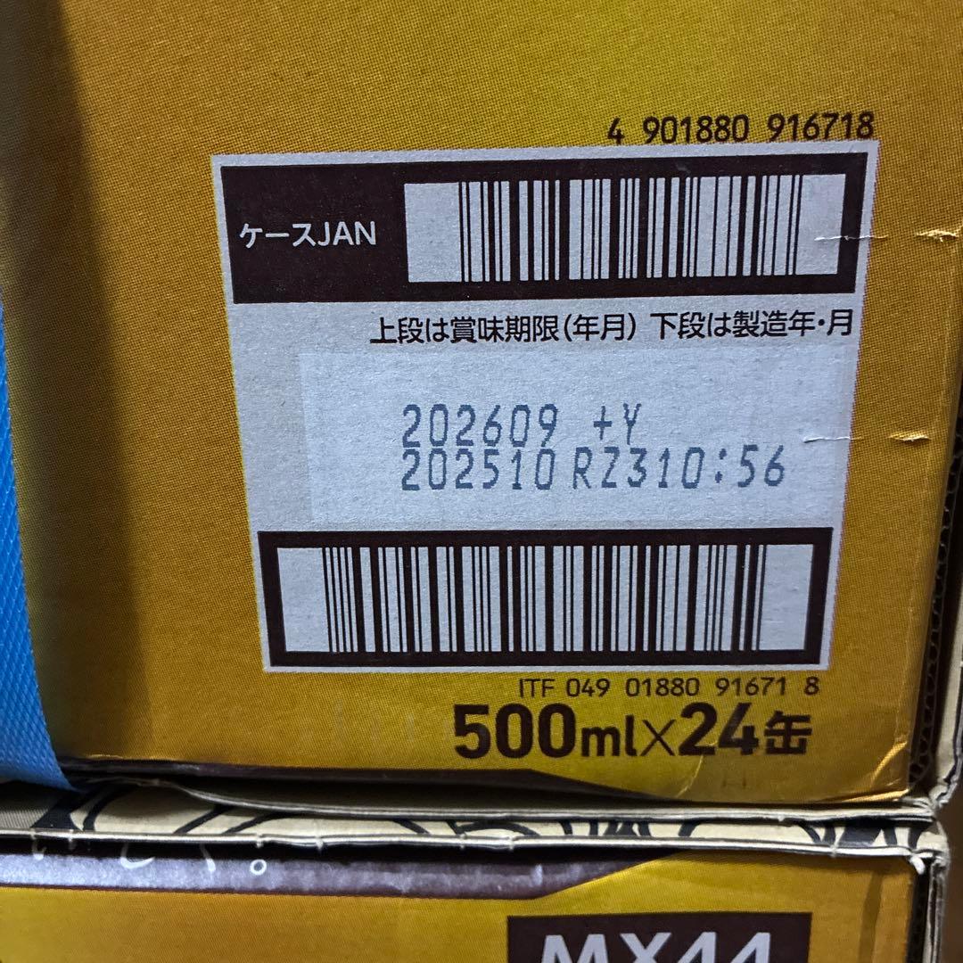 エビスビール 500ml×24缶　2箱セット