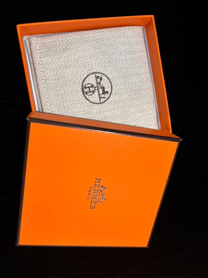 HERMES ミニポップアッシュ Hロゴ ペンダント チェーン ネックレス