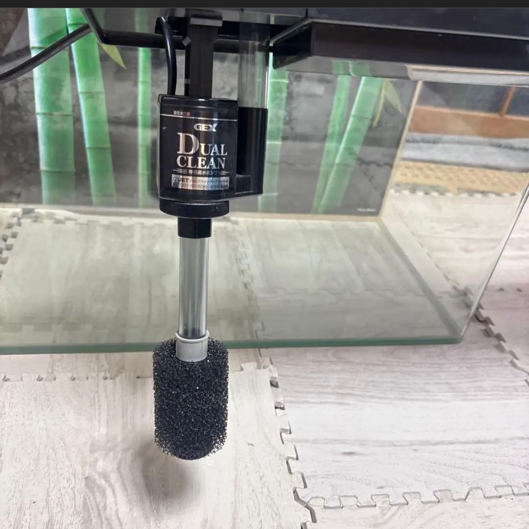 専用　⚫︎GEX ガラス水槽 セット　フィルター バラ売り可