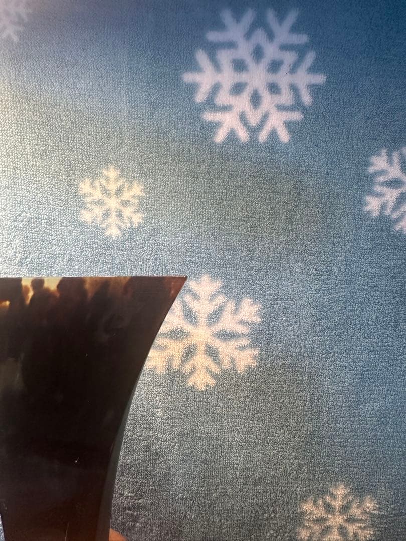 ムーディー【希少】三味線 津軽三味線 鼈甲バチ 本鼈甲　黒水牛台