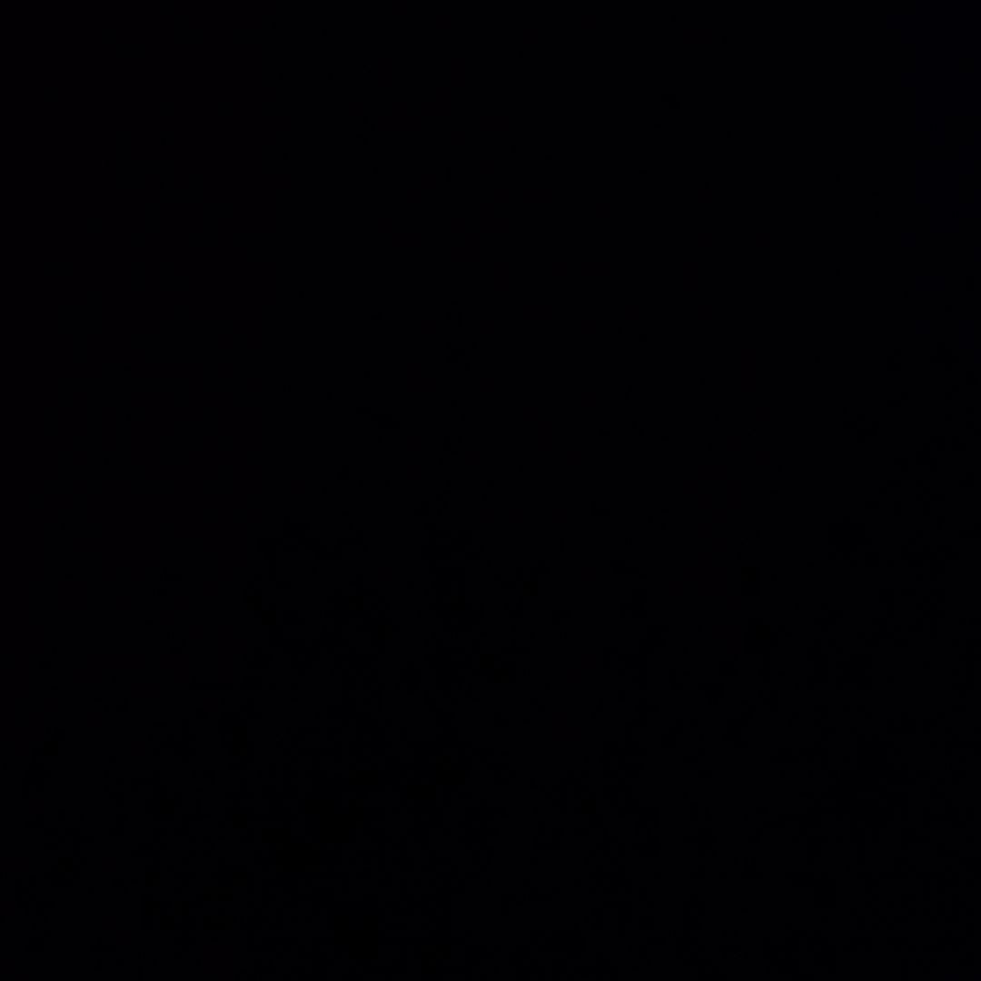 ポケパークのピカチュウ　2枚セット　まとめ　十字ホロ