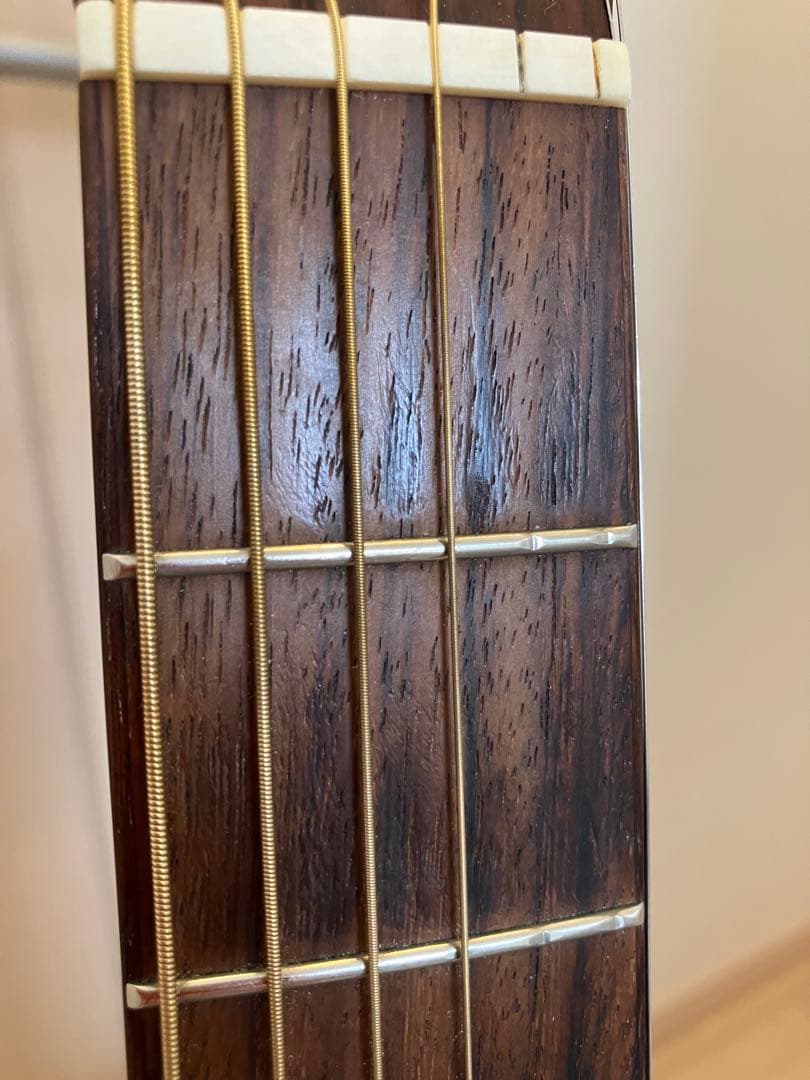 オールコア Takamine PTU409K