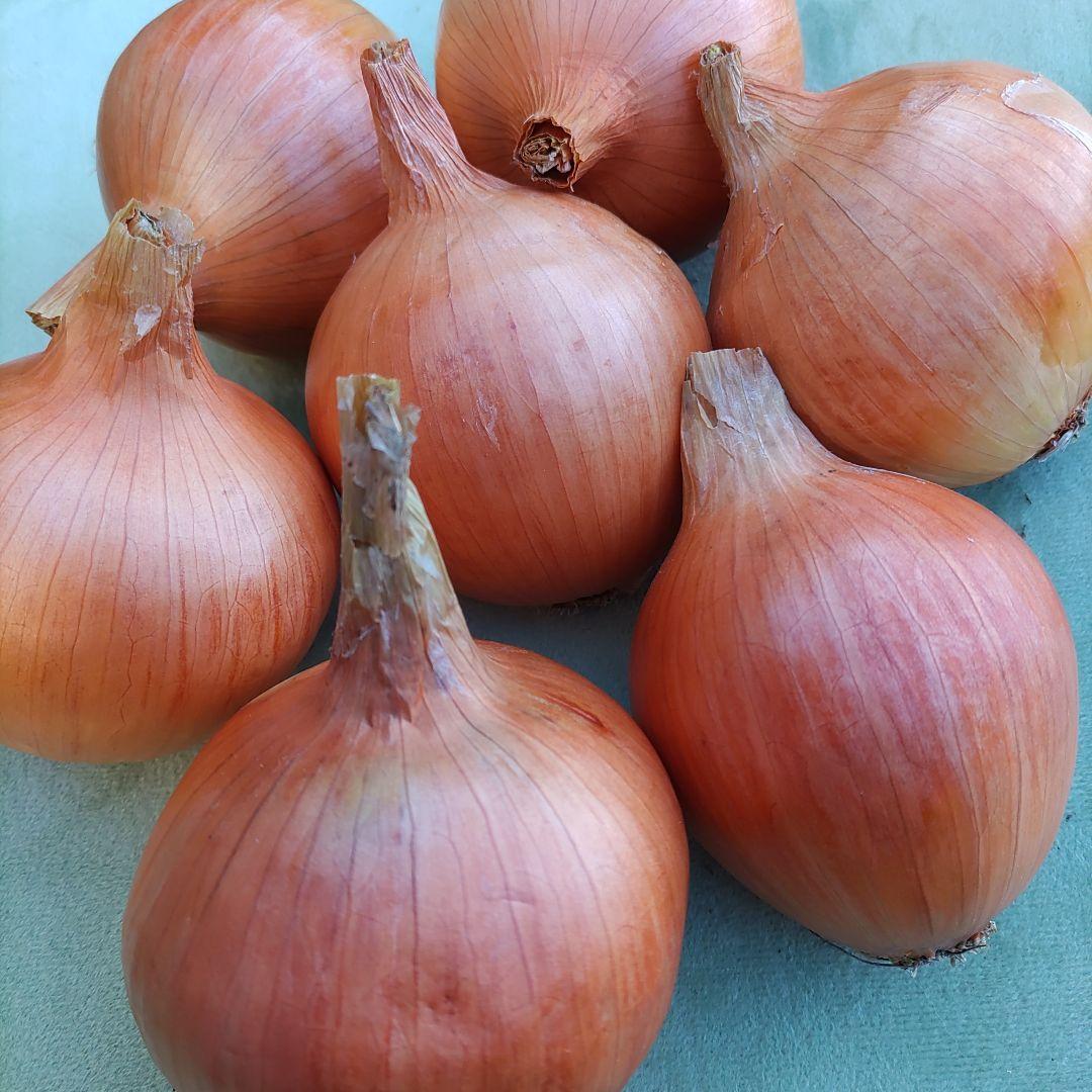 淡路島産野菜10キロ箱