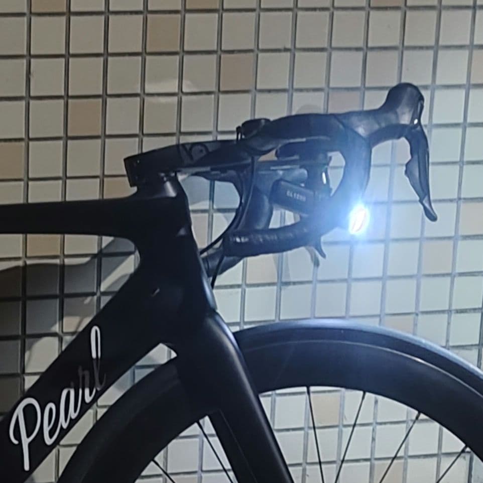 p*n様 Pearl Legacy Disc フレームセット 訳あり