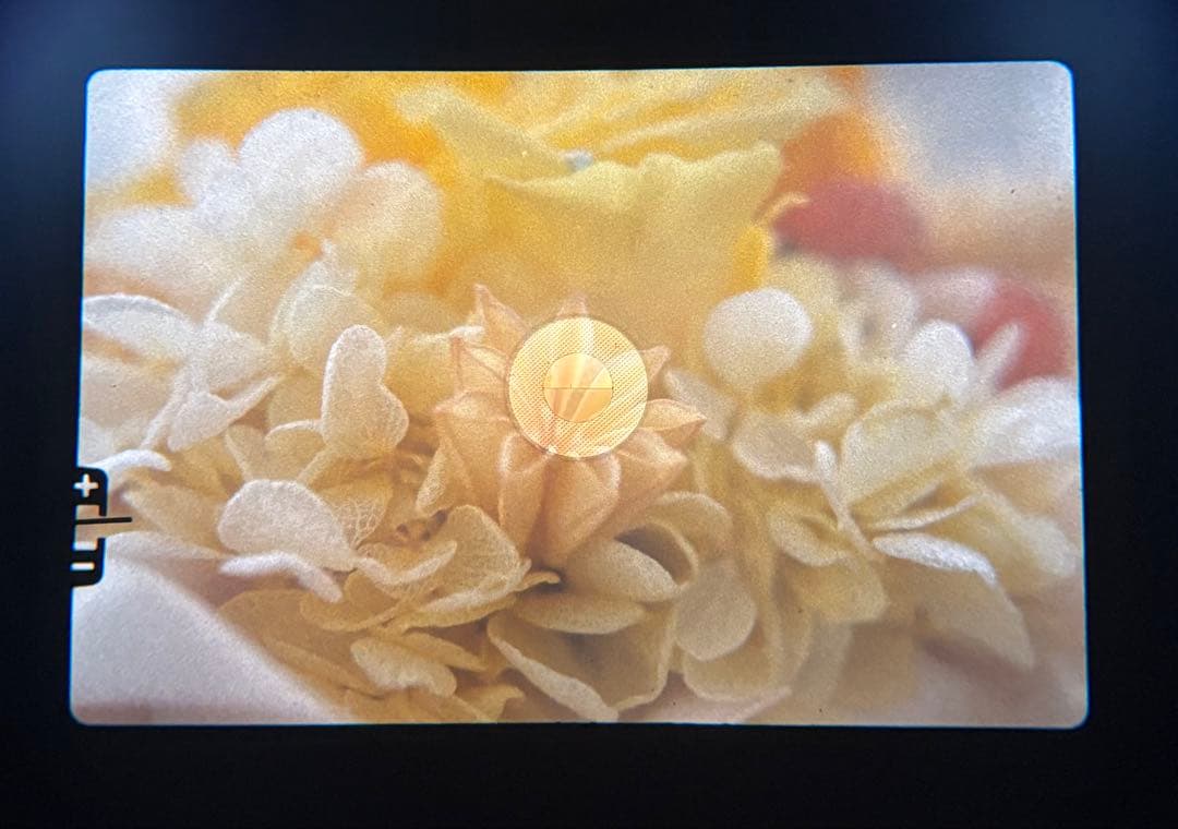 ★OLYMPUS OM-1 + ★ MACRO 50mm