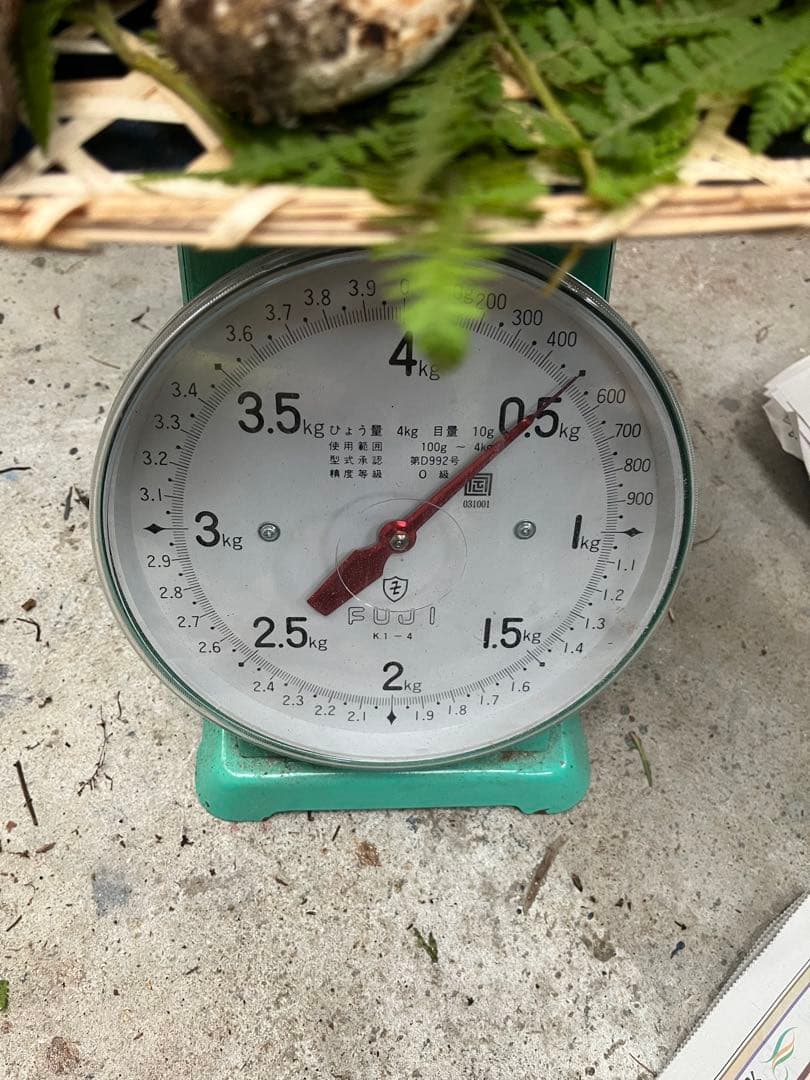 信州産　松茸　500g