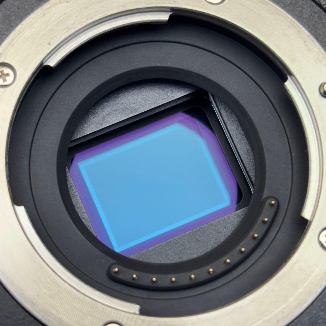 LUMIX GX8 レンズセット