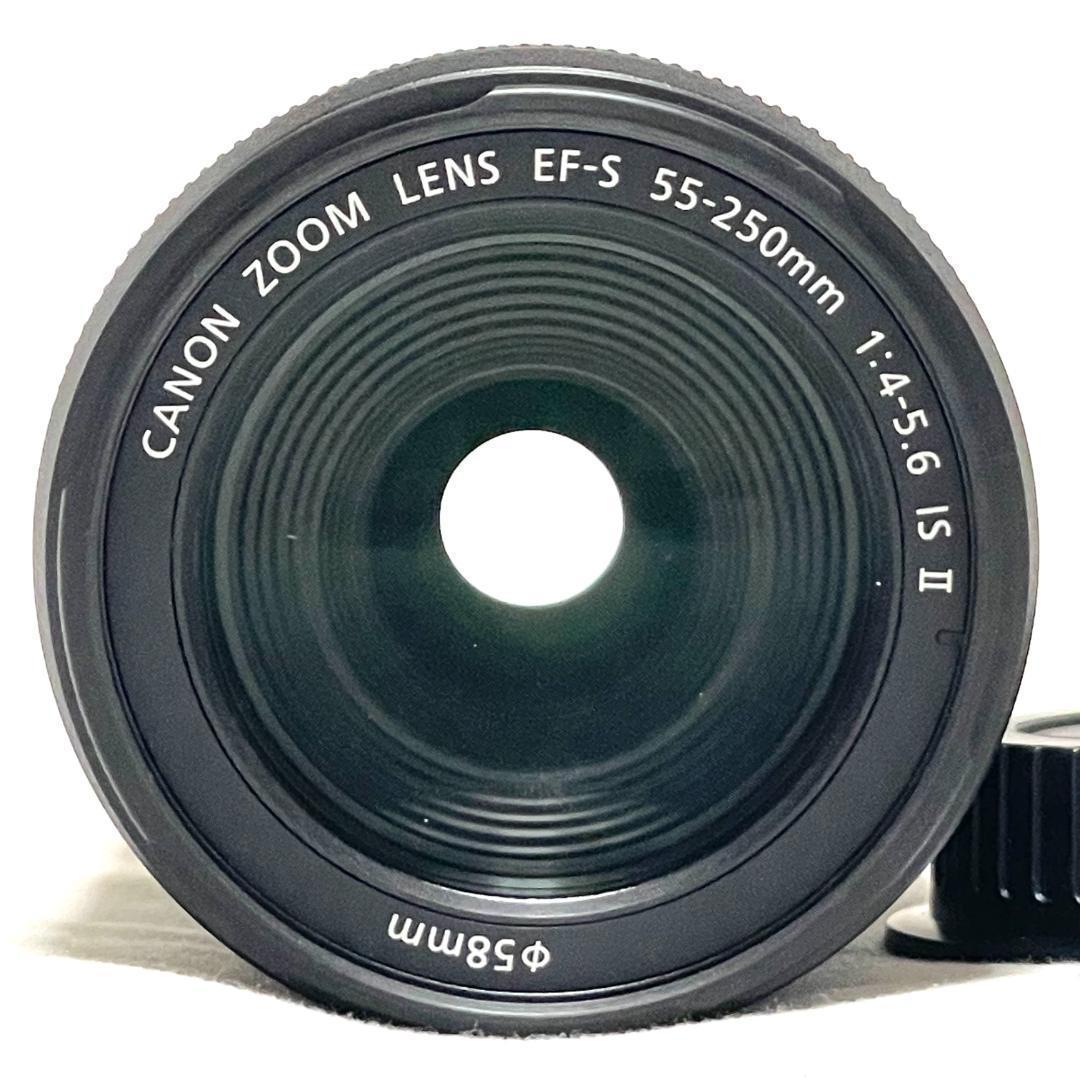 遠くの被写体もくっきり❣️ EF-S 55-250mm IS II 超美品✨