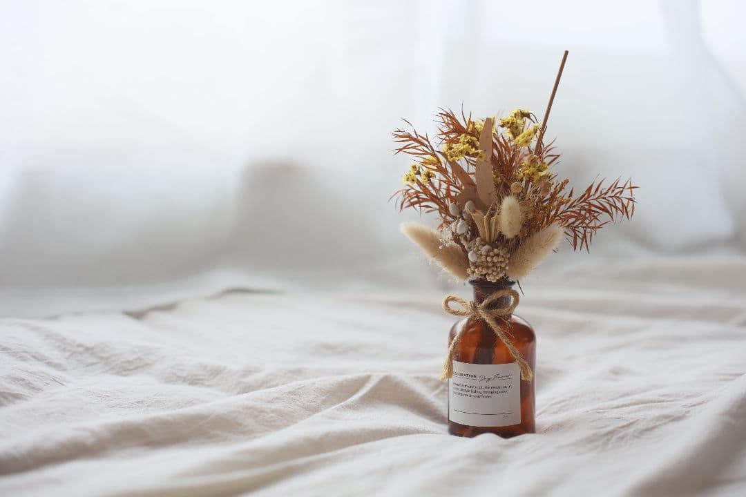 Super-Takumar 50mm F1.4 前期型 〈8枚玉〉【良品】