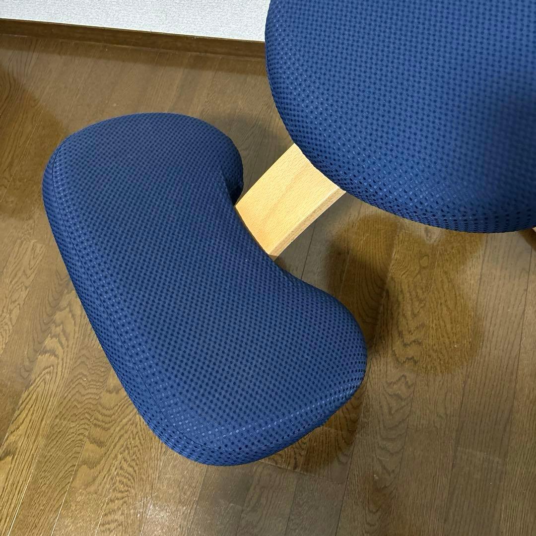 【美品】balans Easy バランスイージー ショートフレーム オプション付