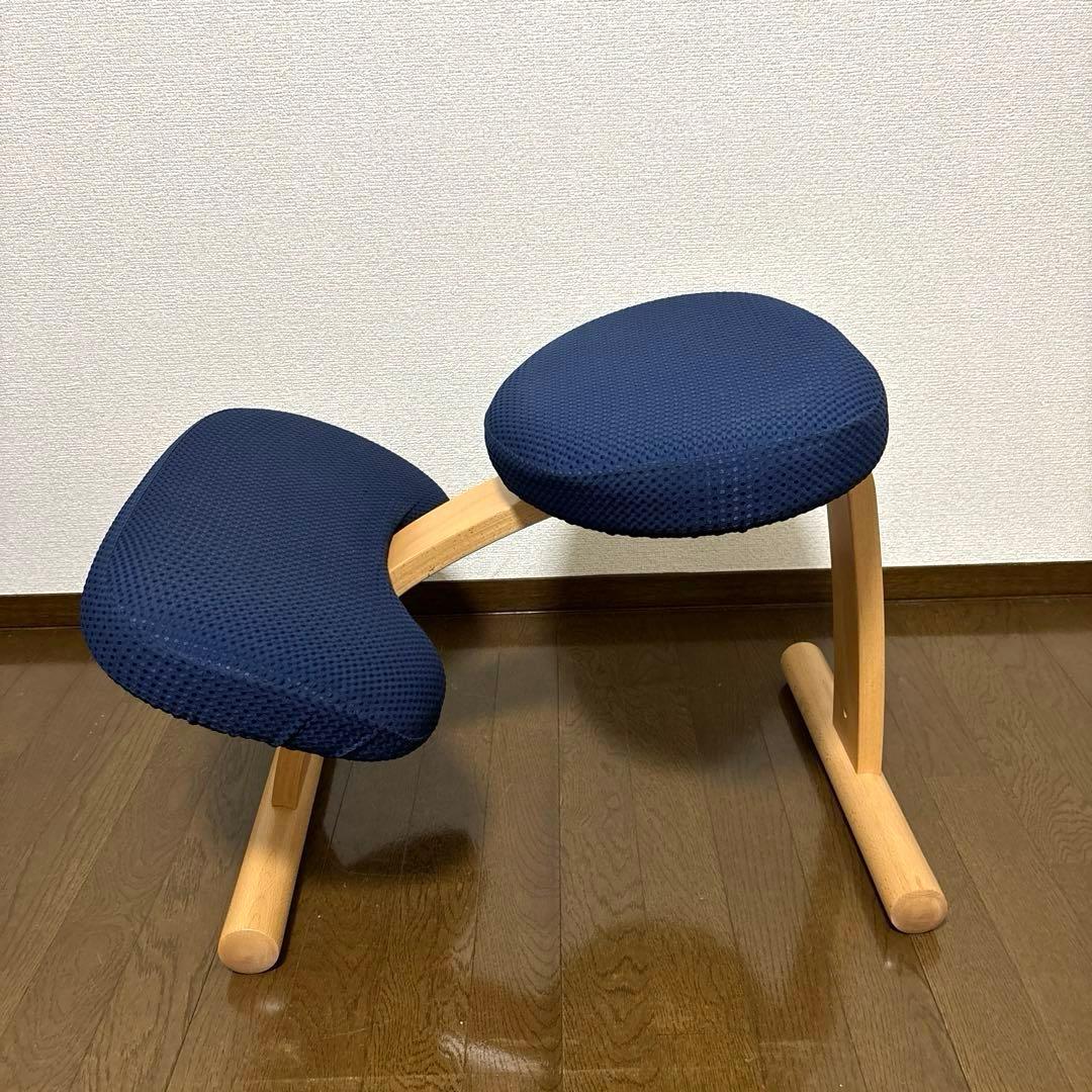 【美品】balans Easy バランスイージー ショートフレーム オプション付