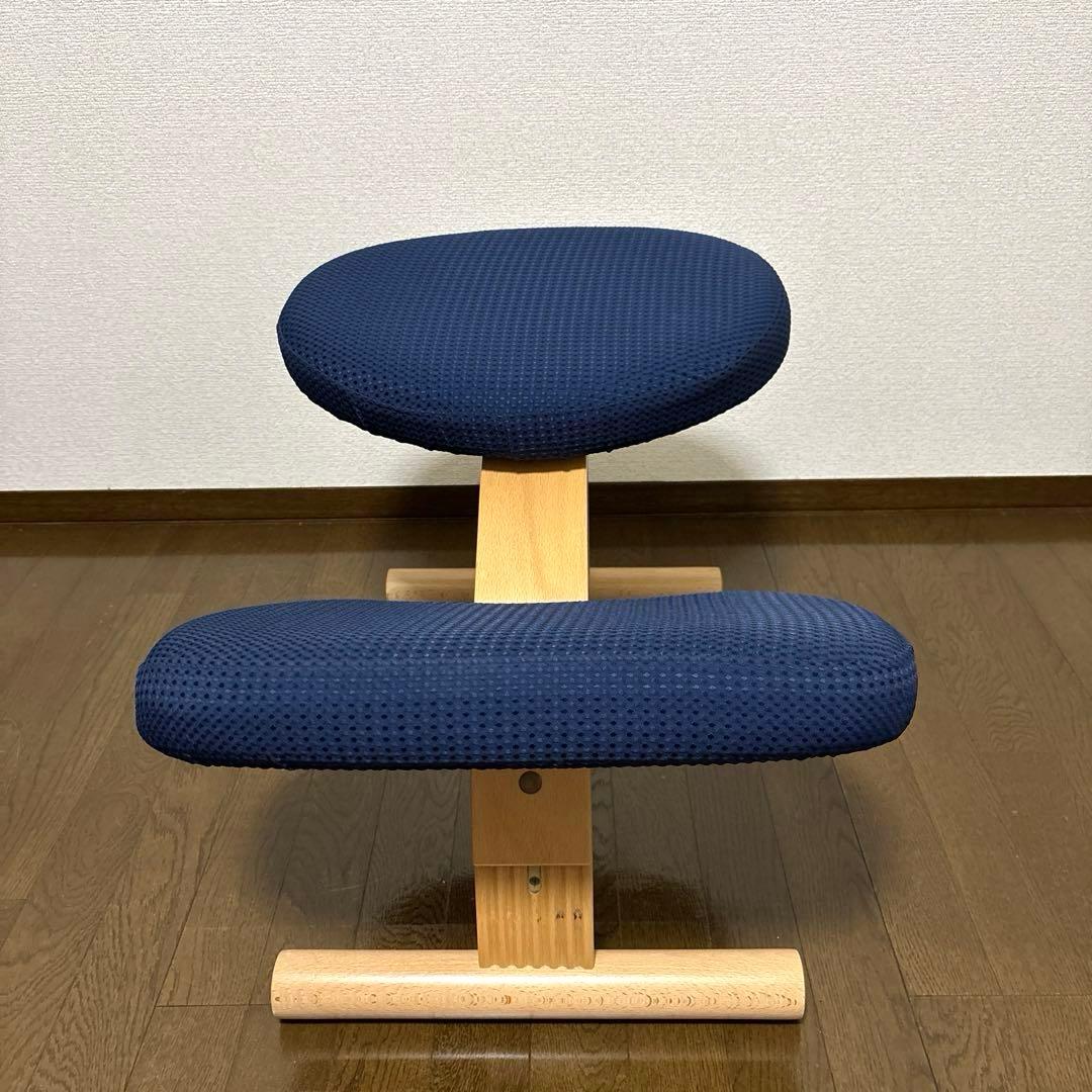 【美品】balans Easy バランスイージー ショートフレーム オプション付