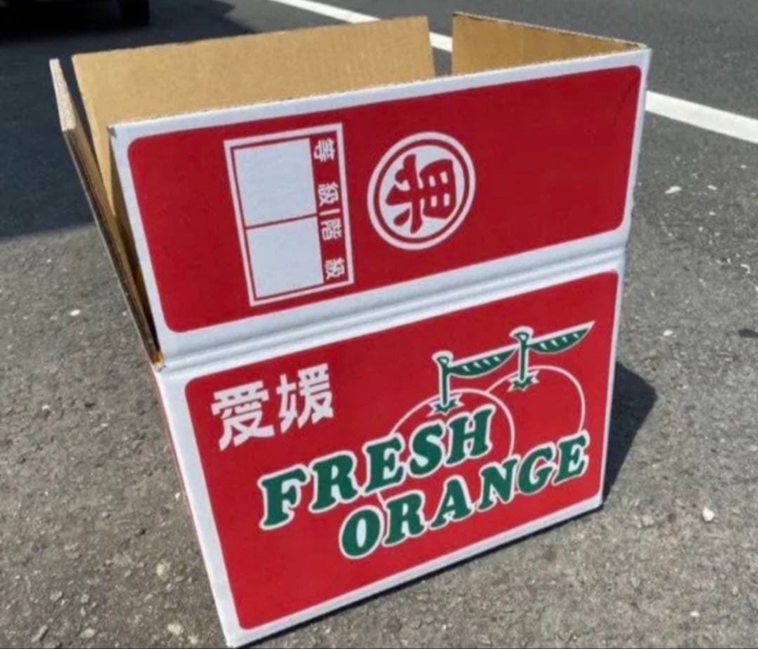 愛媛県産　ブラッドオレンジ　モロ　柑橘　15kg