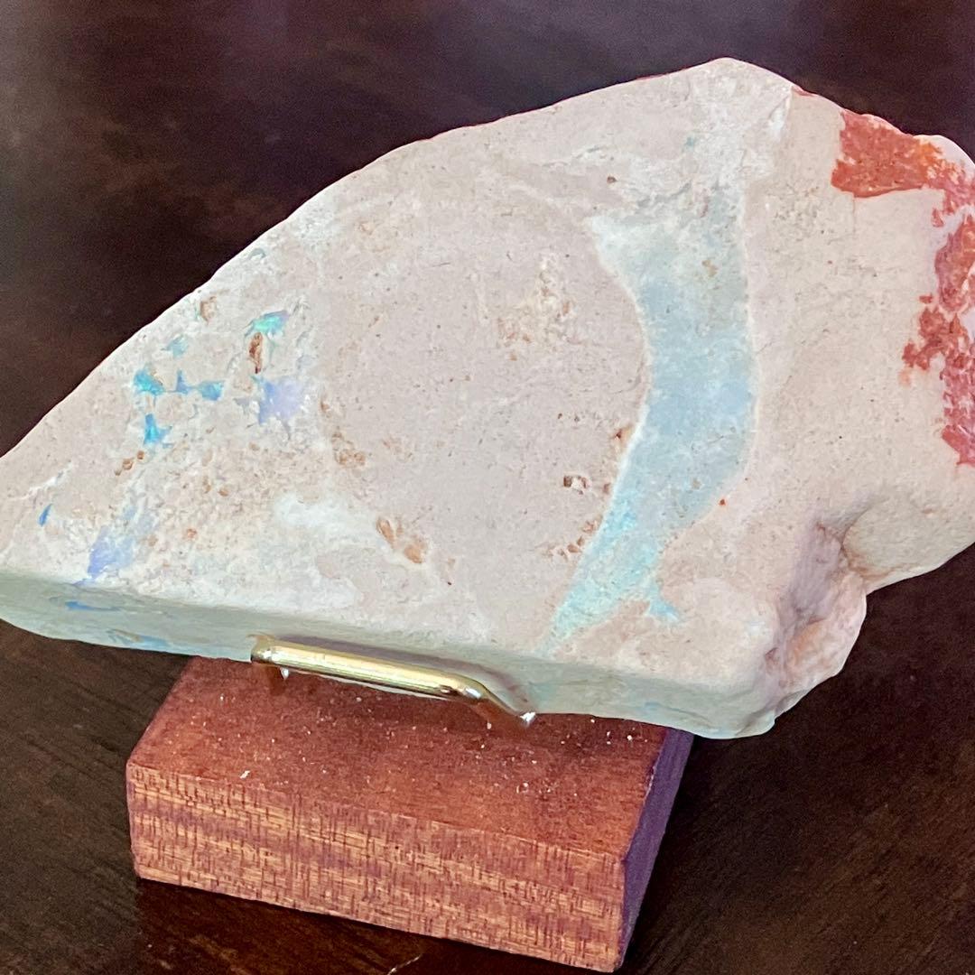 プレシオサウルスのヒレ骨 オパール 化石 標本 オーストラリア クーバーペディ産