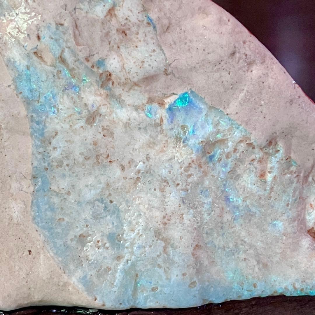 プレシオサウルスのヒレ骨 オパール 化石 標本 オーストラリア クーバーペディ産