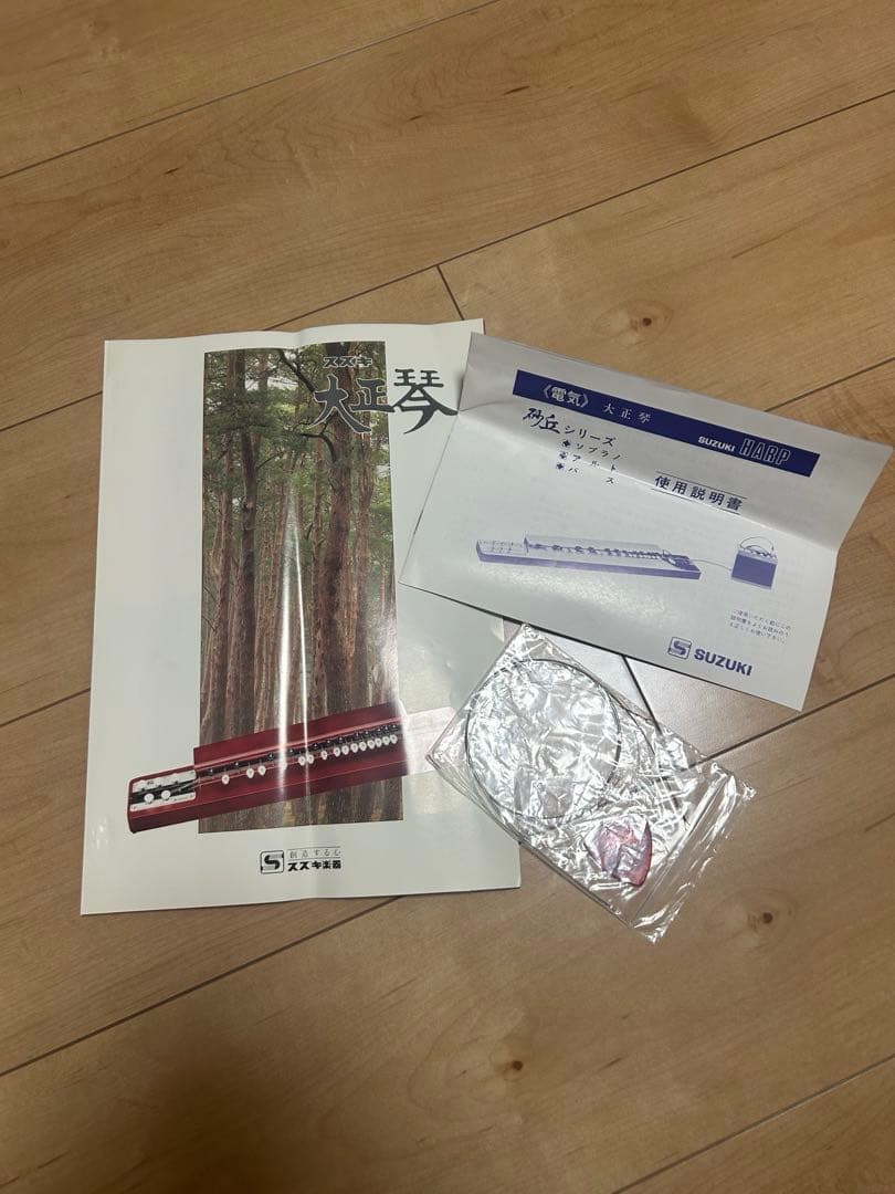 大正琴 13弦 ケース付き　スズキ　砂丘　説明書付き