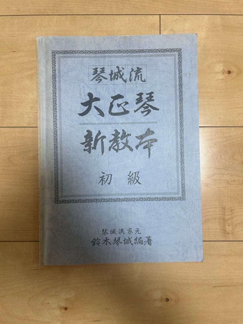 大正琴 13弦 ケース付き　スズキ　砂丘　説明書付き