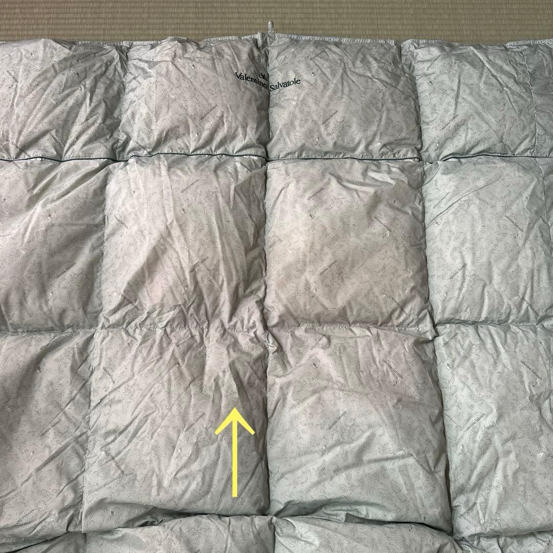 S様 羽毛掛け布団　190✖️210 バレンチノ　ヨーロピアンダウン【未使用】