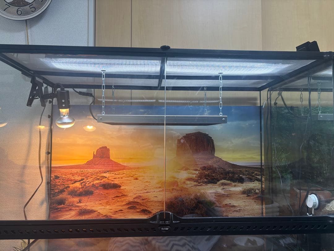 【使用僅か】グラステラリウム9060 爬虫類 飼育セット ライト 暖突 流木