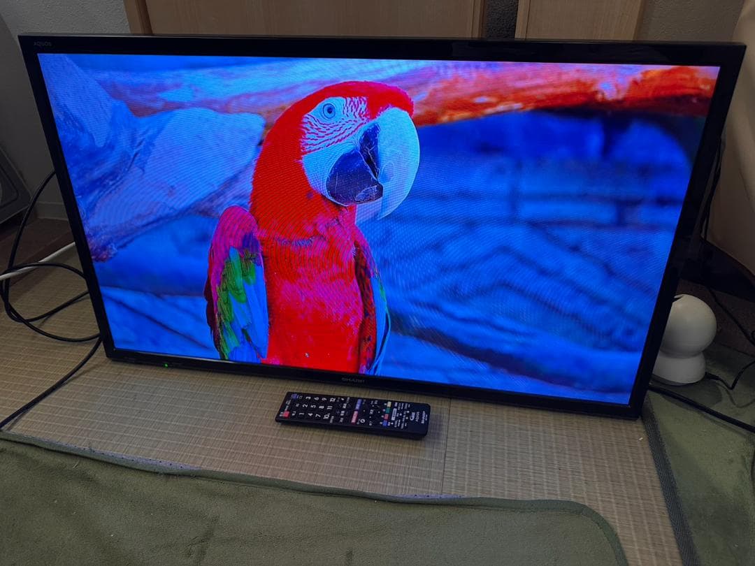 SHARP シャープ　32型　テレビ 2T-C32AE1 2019年製　超美品！