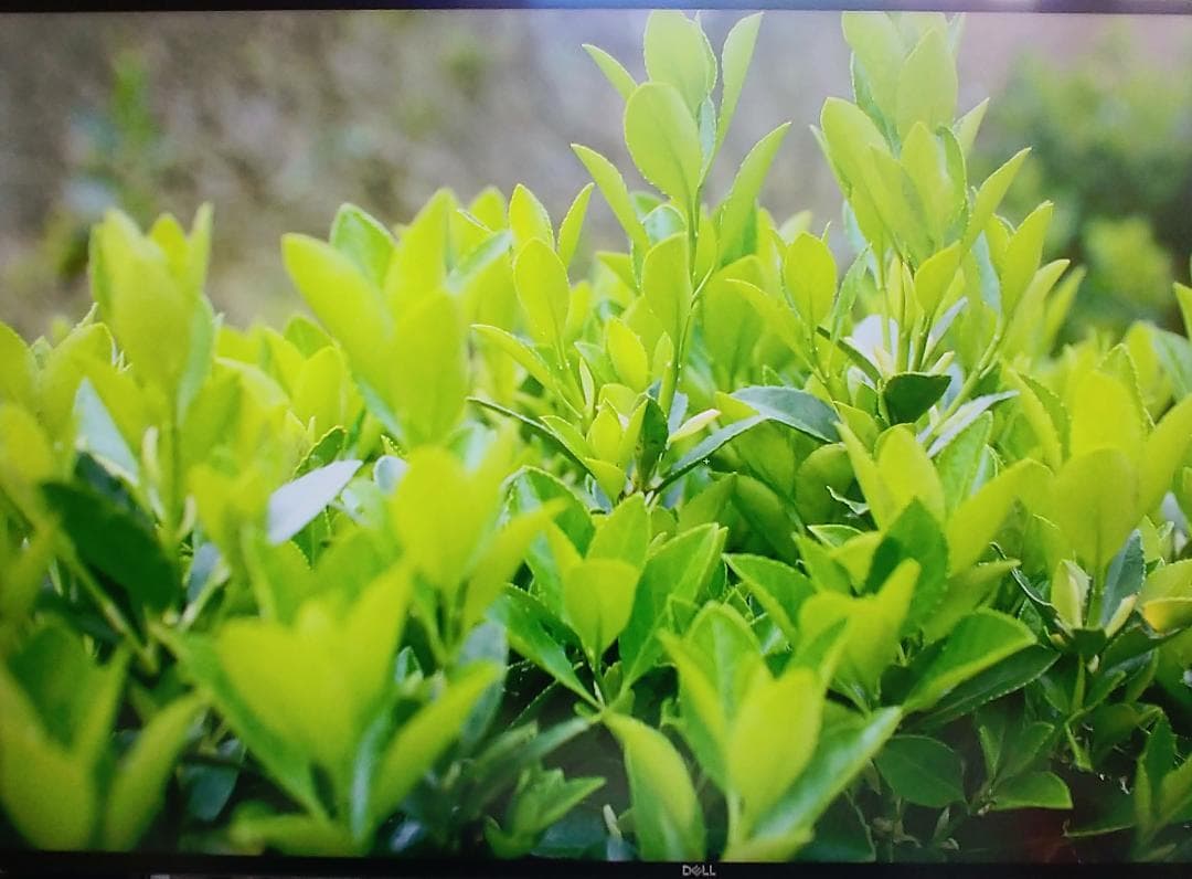 美品 DELL 4K U2720QM 付属品完備 ドット抜けなし 画面傷なし