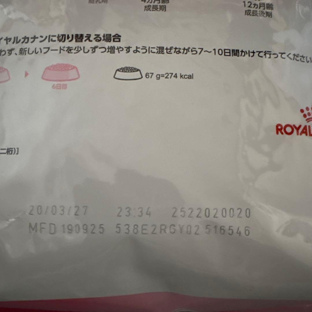 ロイヤルカナン　キトン　後期　2kg×2