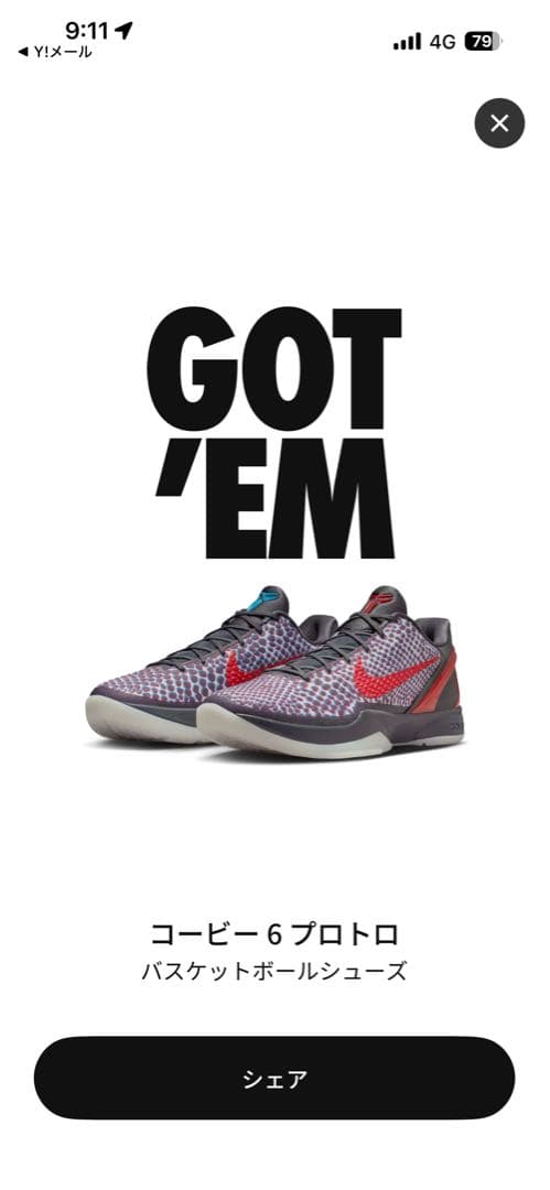 Kobe 6 3D コービー6
