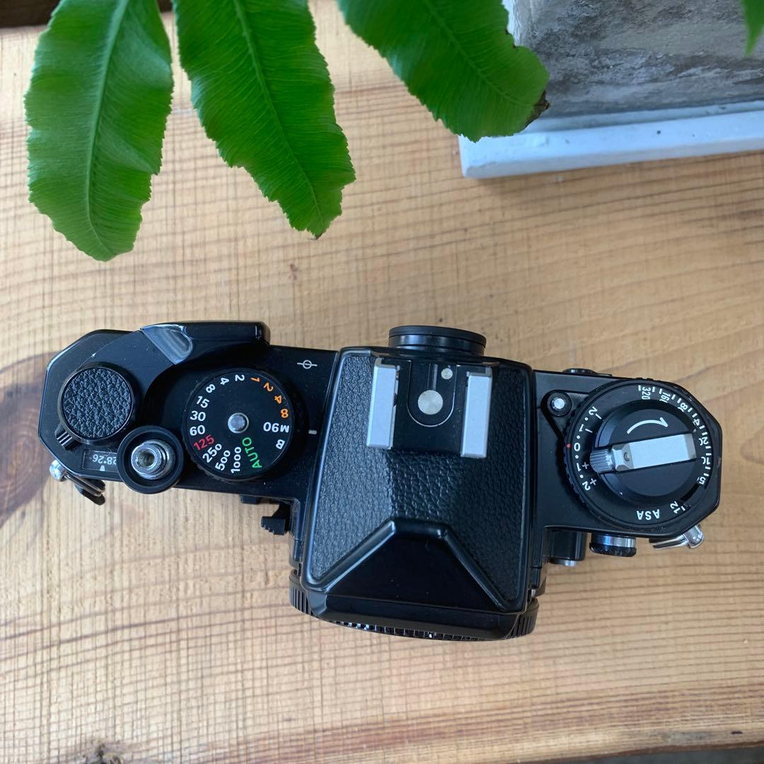フィルムカメラ Nikon FE