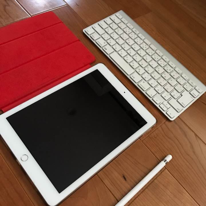 iPad Pro9.7 256GB 保証期間内 北米版SIMフリー