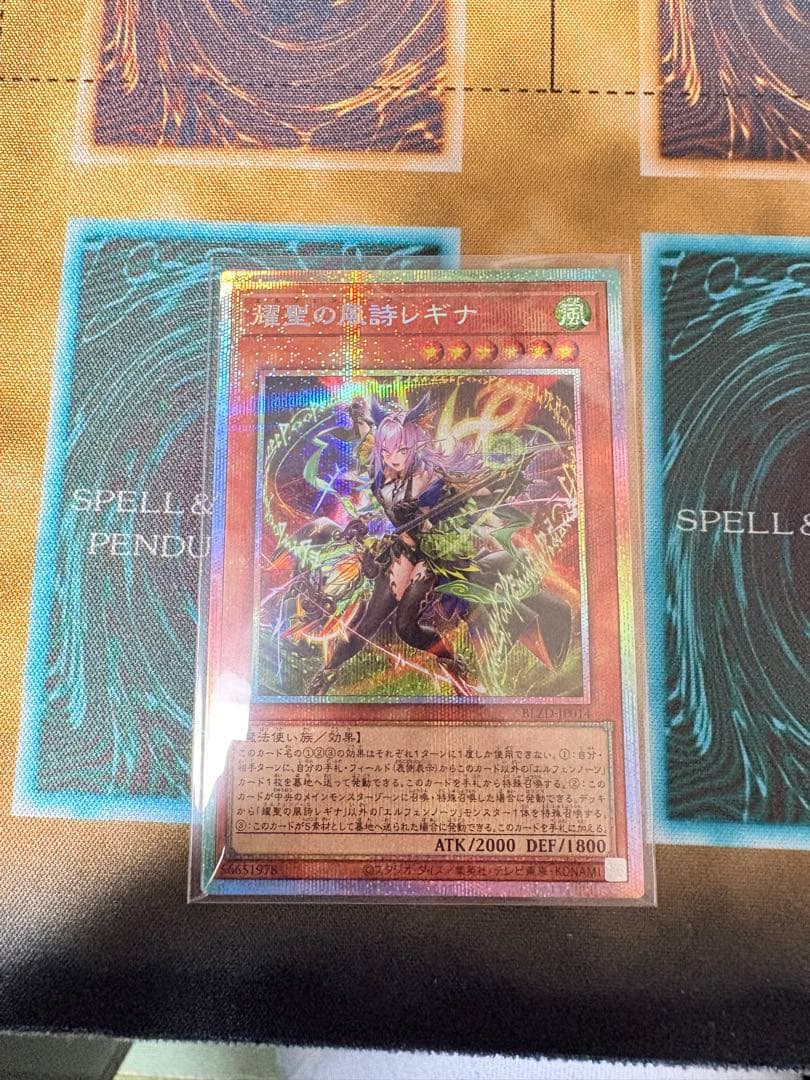 エルフェンノーツ レギナ プリシク