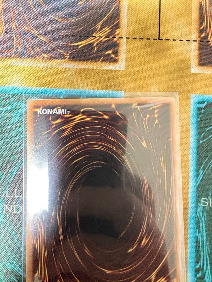 エルフェンノーツ レギナ プリシク