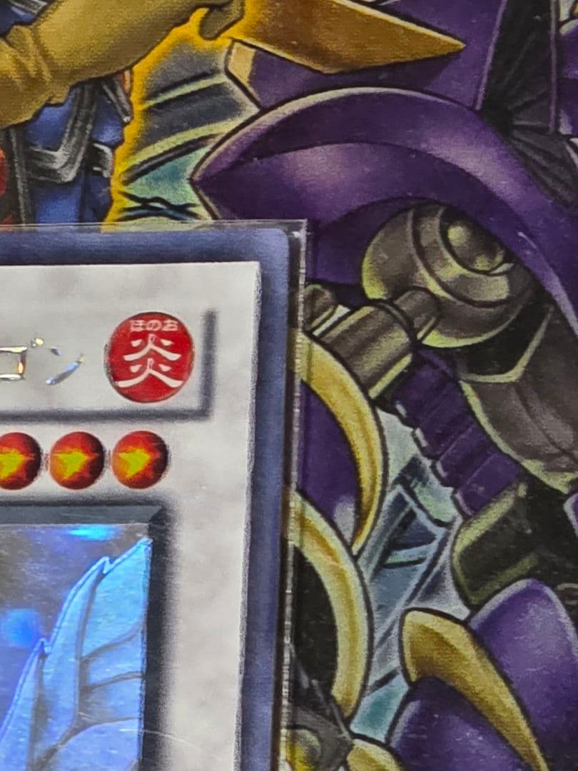 【匿名配送】ブラック・ローズ・ドラゴン ホロ