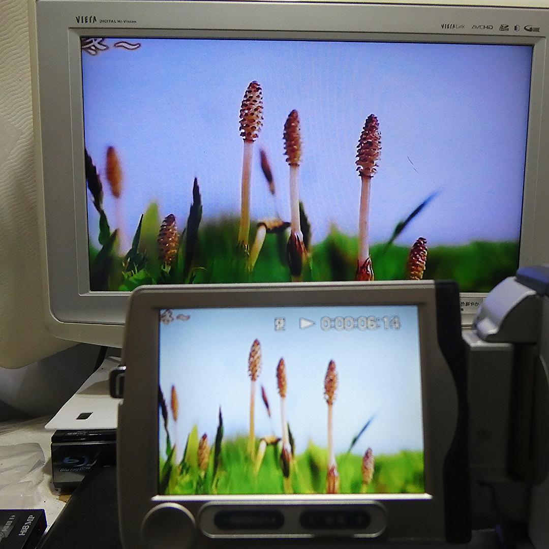 動作品ソニー DCR-TRV30 MiniDVビデオカメラ　DVDダビングに最適