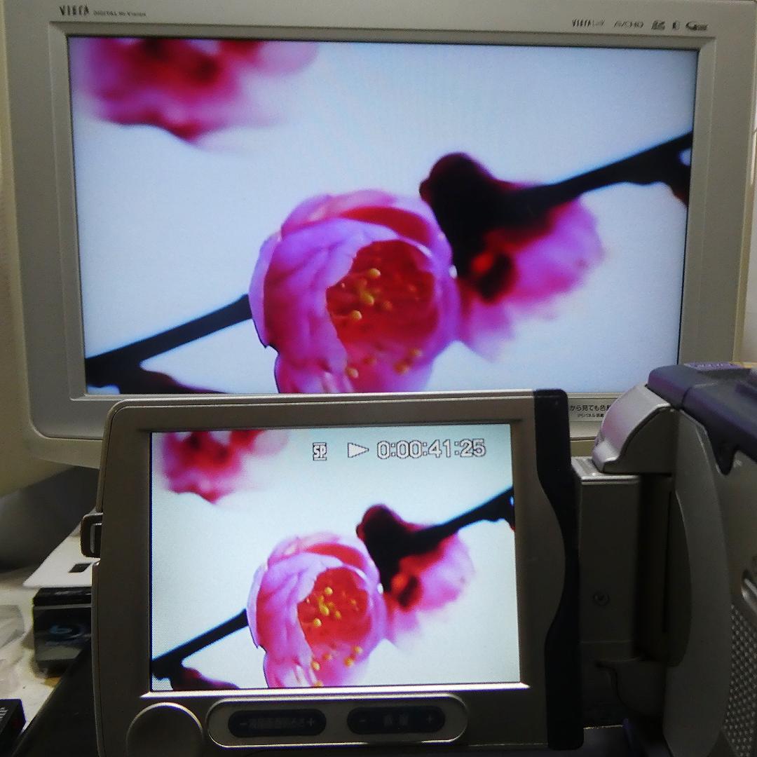 動作品ソニー DCR-TRV30 MiniDVビデオカメラ　DVDダビングに最適