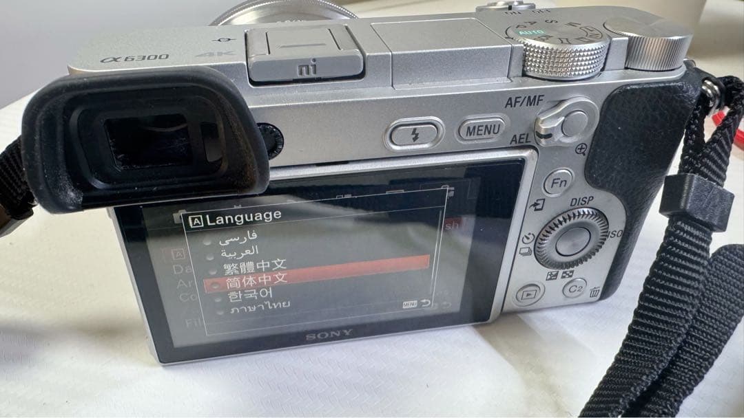 SONY α6300 ILCE-6300 海外モデル シャッター数958回