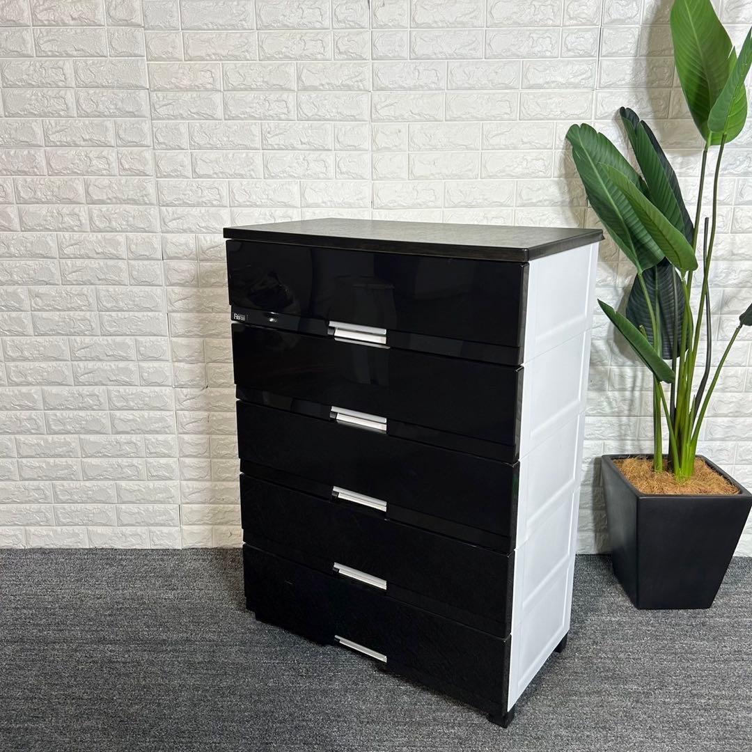 天馬 Fits 収納ケース 5段 チェスト 収納 家具 インテリア L076