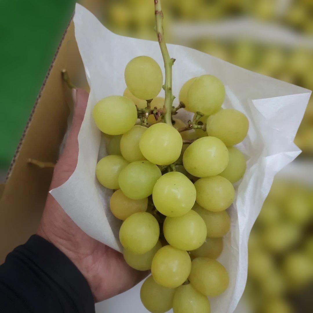 7️⃣ 山梨県産 シャインマスカット １１房入り 箱込み5.7キロ