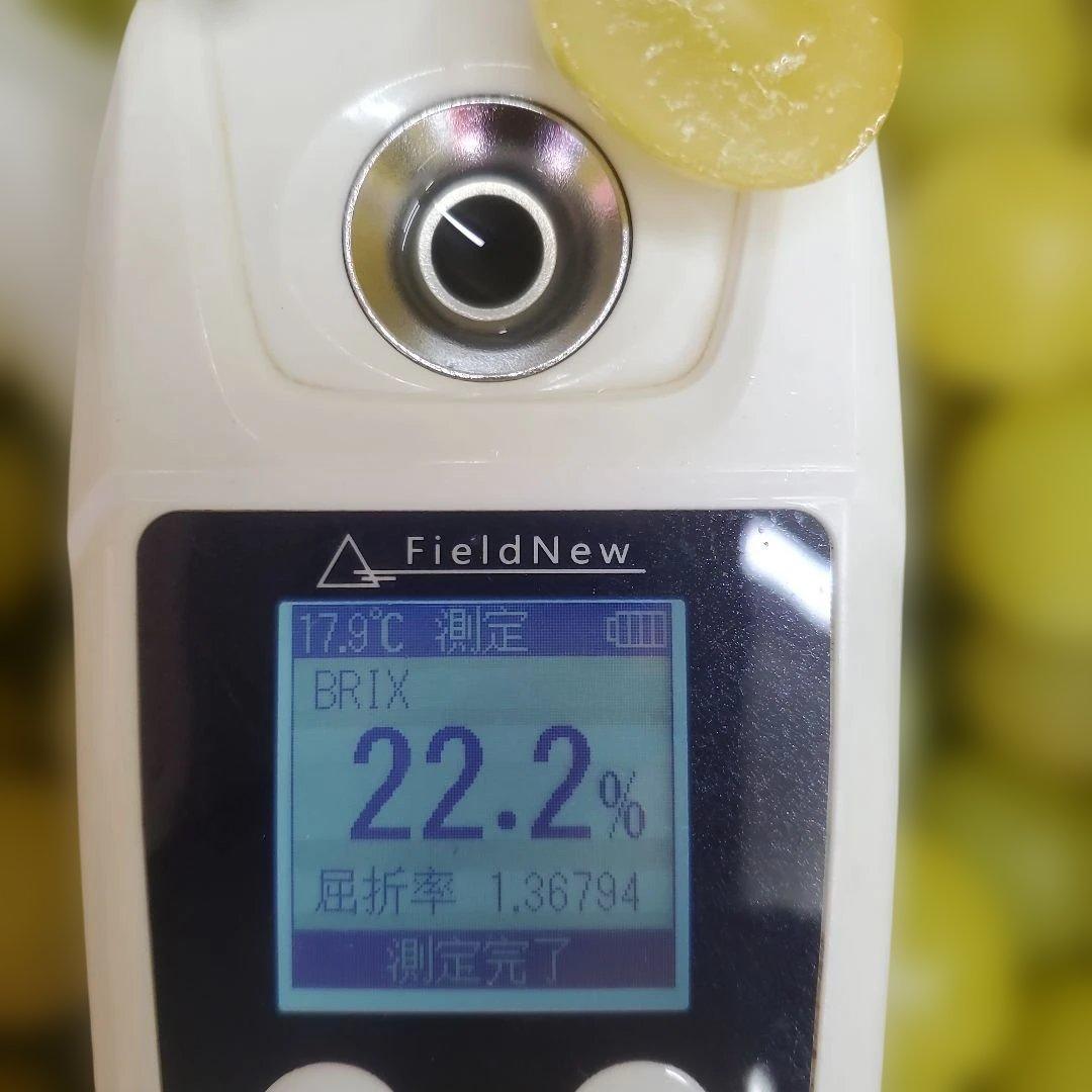 7️⃣ 山梨県産 シャインマスカット １１房入り 箱込み5.7キロ