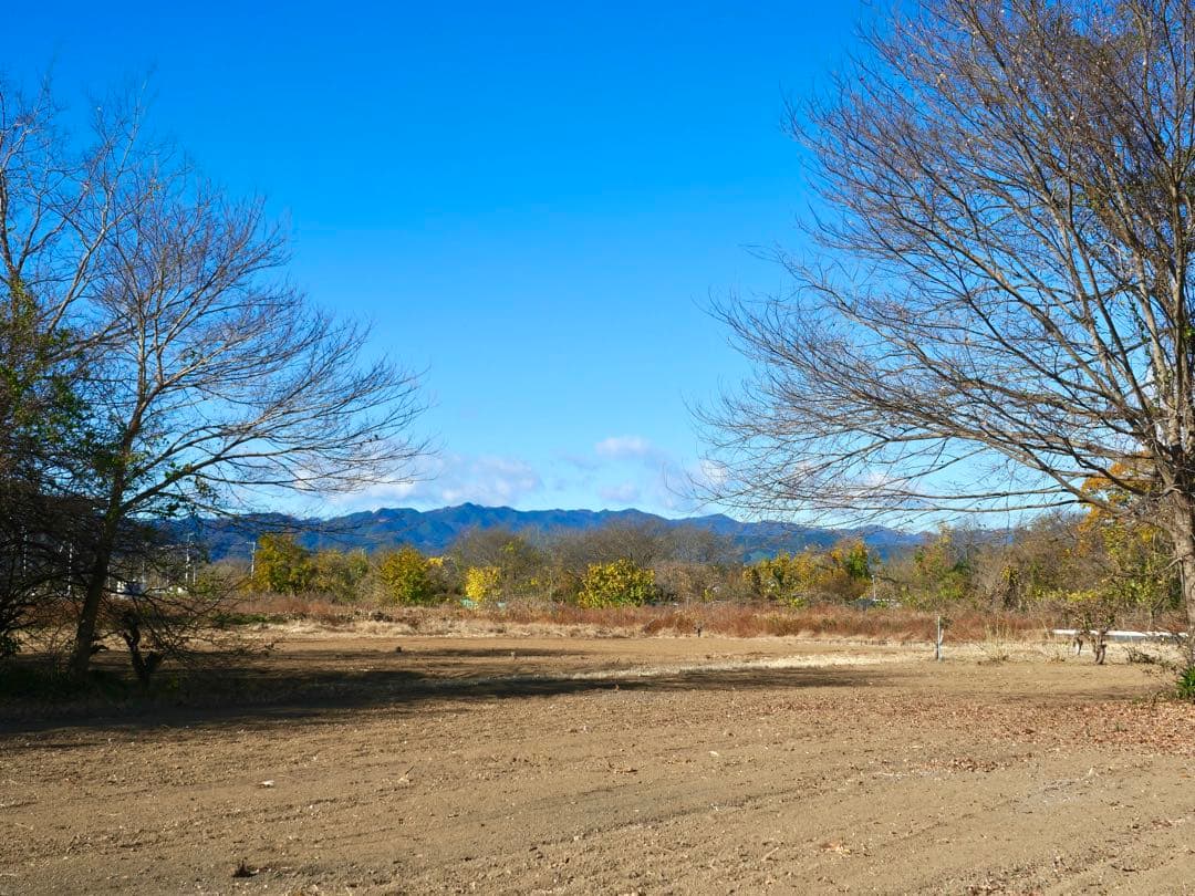 レンズ(ズーム) LEICA DG VARIO-ELMARIT 12-60mmF2.8-4.0