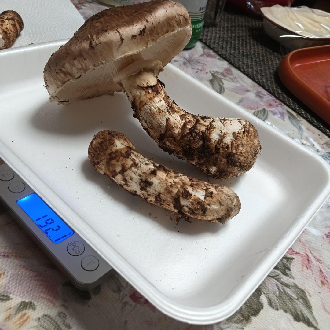 10/16三陸産朝どれマツタケ 192.1g