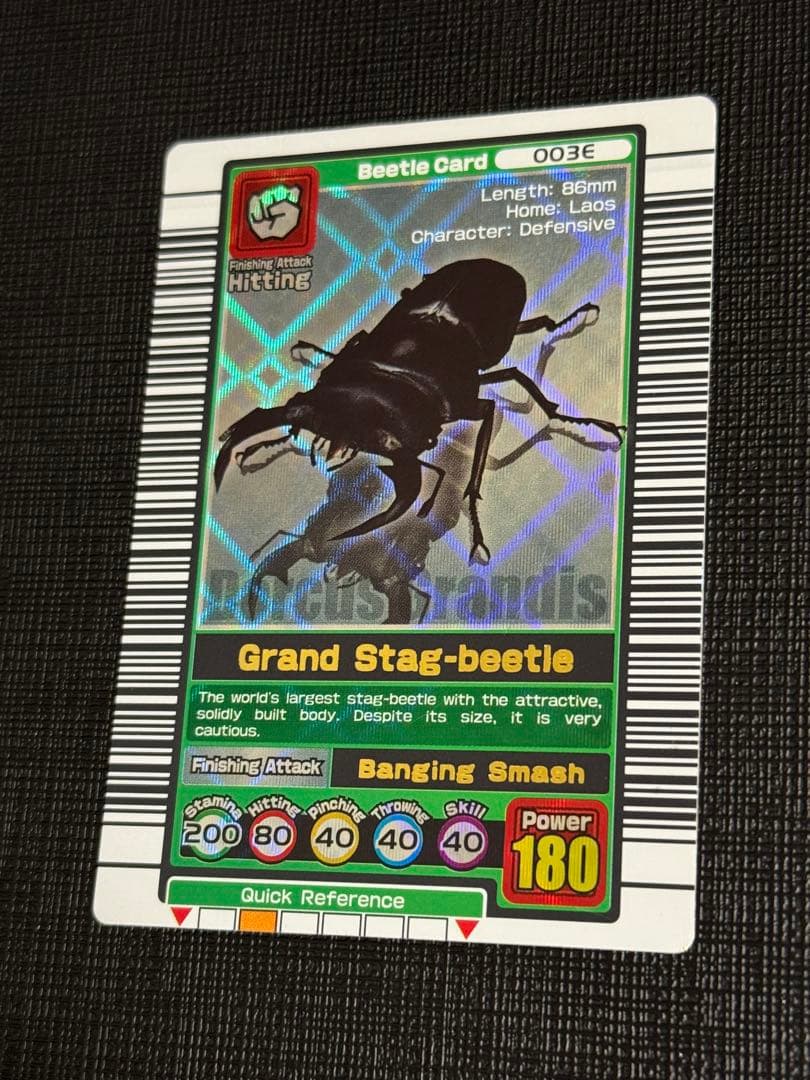 【希少】ムシキング グランディスオオクワガタ 初期デザイン 英語版