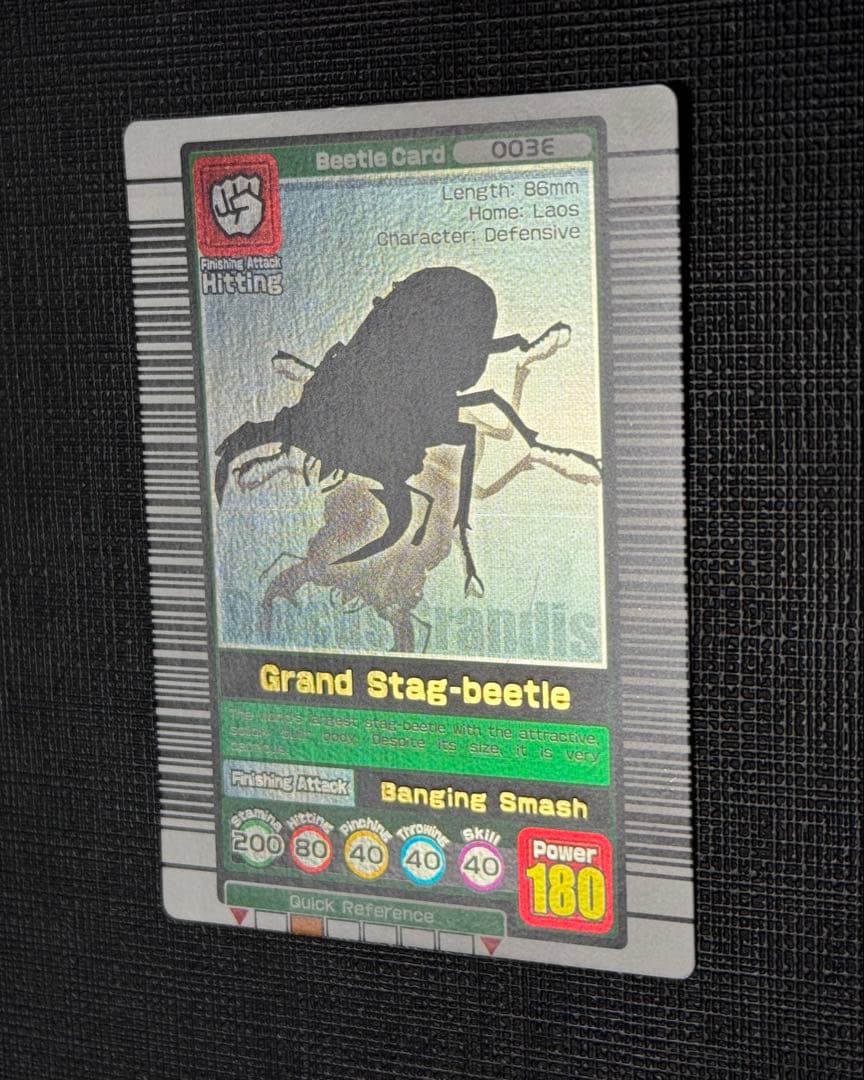 【希少】ムシキング グランディスオオクワガタ 初期デザイン 英語版