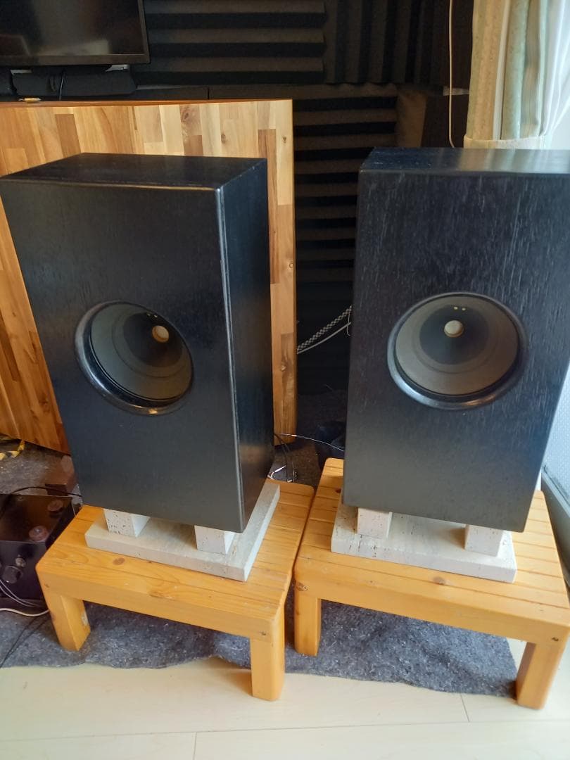 た*ん様 GRAETZ 8インチ 励磁型スピーカー