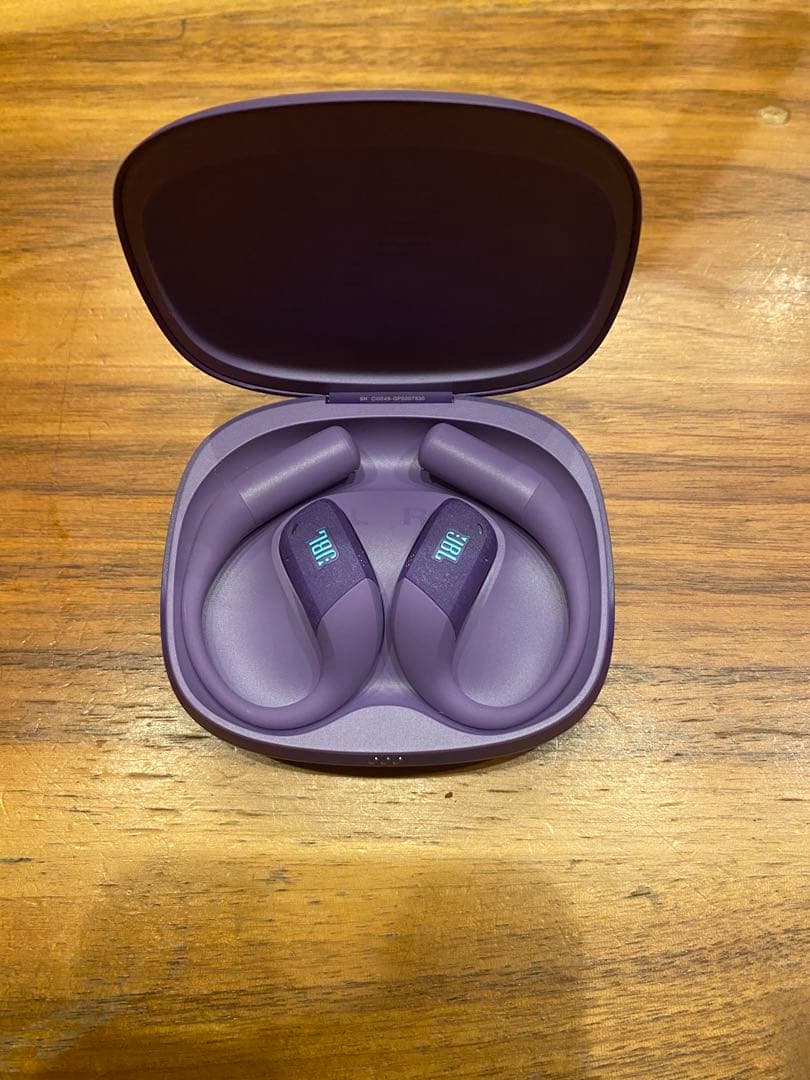 JBL 公式限定 完全 ワイヤレスイヤホン ENDURANCE ZONE