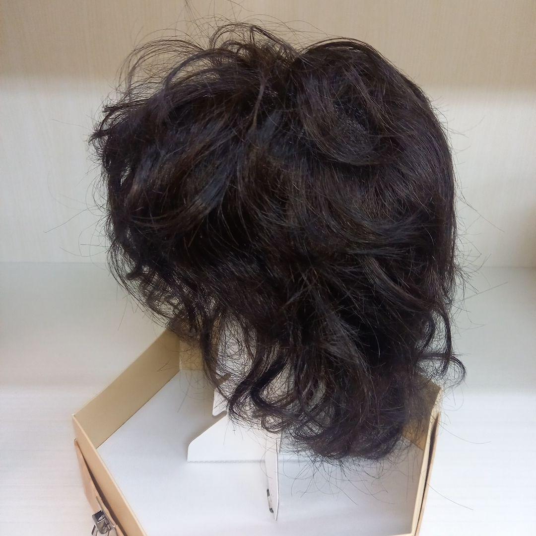 フォンテーヌ　VALAN　demi　ヴァラン　ウィッグ　人毛